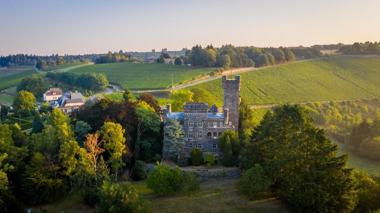 Saar Castle - Cozy Mansion Near Vineyard Villa Serrig Екстериор снимка