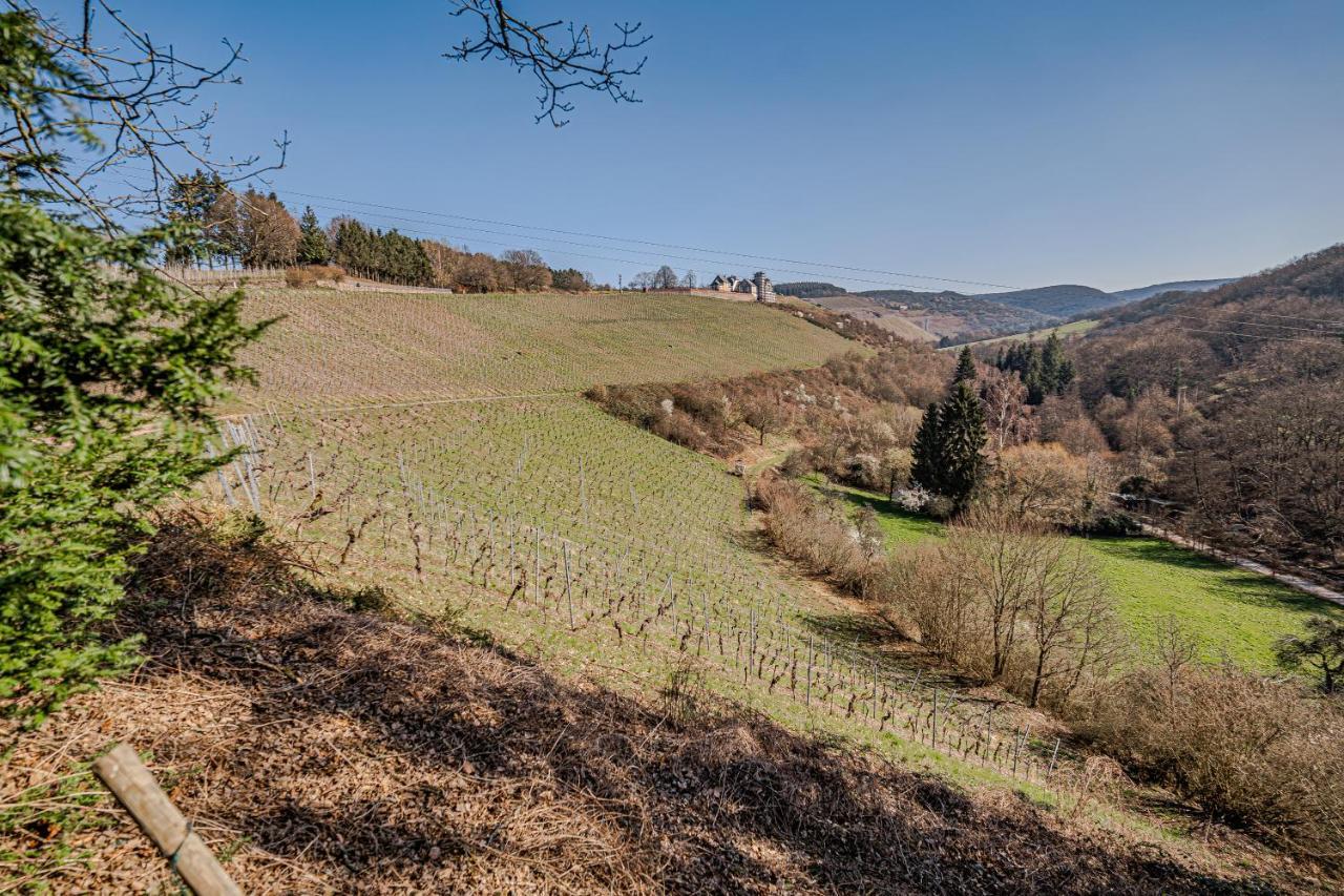 Saar Castle - Cozy Mansion Near Vineyard Villa Serrig Екстериор снимка